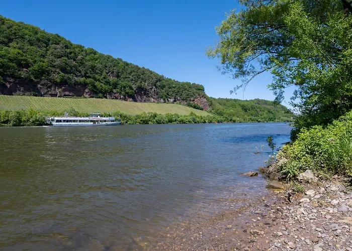 מלון דירות Limehome Nikolaus-leis-strasse טרייר